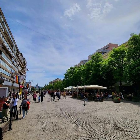 Sunny Studio Apartment Iasi Exterior photo